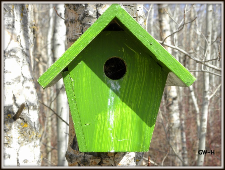 Green Birdhouse