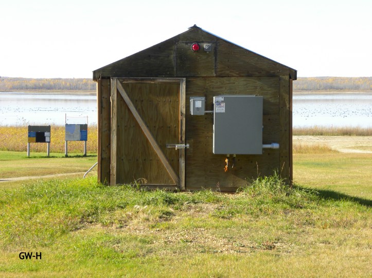 Miquelon Lake shed door